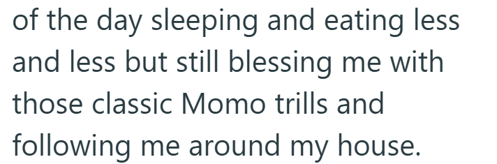 of the day sleeping and eating less and less but still blessing me with those classic Momo trills and following me around my house.