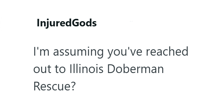 InjuredGods I'm assuming you've reached out to Illinois Doberman Rescue?