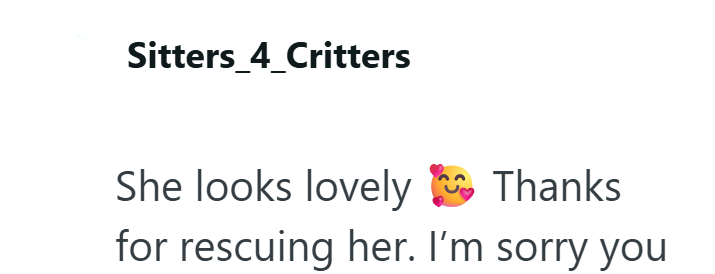Sitters_4_Critters She looks lovely Thanks. for rescuing her. I'm sorry you
