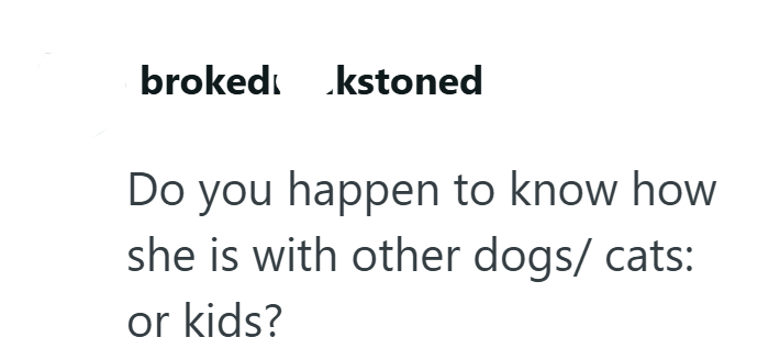 broked .kstoned Do you happen to know how she is with other dogs/ cats: or kids?