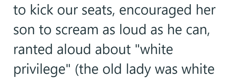 to kick our seats, encouraged her son to scream as loud as he can, ranted aloud about "white privilege" (the old lady was white