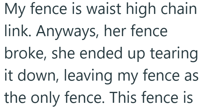 My fence is waist high chain link. Anyways, her fence broke, she ended up tearing it down, leaving my fence as the only fence. This fence is