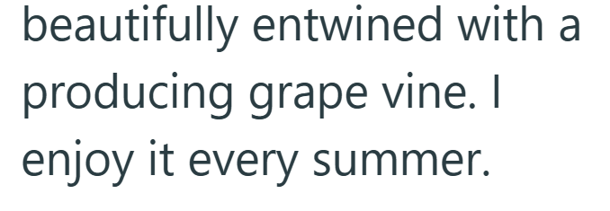 beautifully entwined with a producing grape vine. I enjoy it every summer.