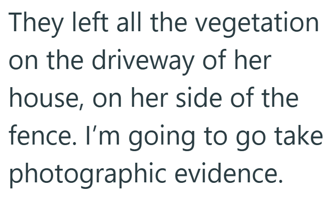They left all the vegetation on the driveway of her house, on her side of the fence. I'm going to go take photographic evidence.