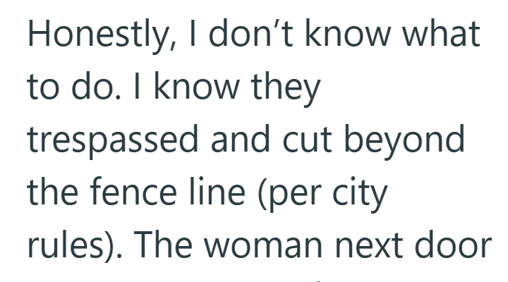 Honestly, I don't know what to do. I know they trespassed and cut beyond the fence line (per city rules). The woman next door