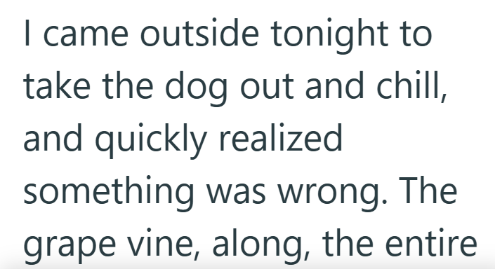 I came outside tonight to take the dog out and chill, and quickly realized something was wrong. The grape vine, along, the entire