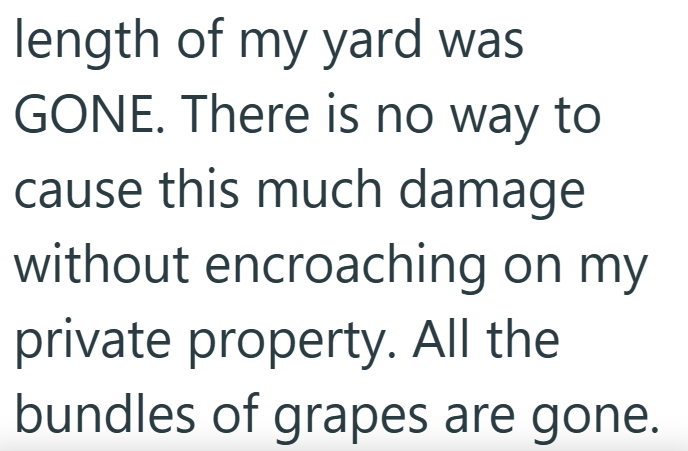 length of my yard was GONE. There is no way to cause this much damage without encroaching on my private property. All the bundles of grapes are gone.