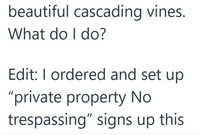 beautiful cascading vines. What do I do? Edit: I ordered and set up "private property No trespassing" signs up this