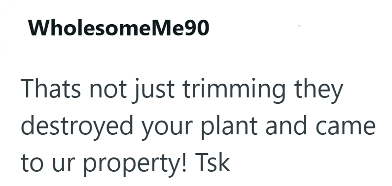 WholesomeMe90 Thats not just trimming they destroyed your plant and came to ur property! Tsk
