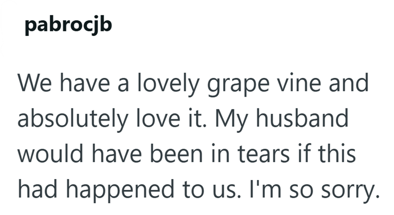 pabrocjb We have a lovely grape vine and absolutely love it. My husband would have been in tears if this had happened to us. I'm so sorry.