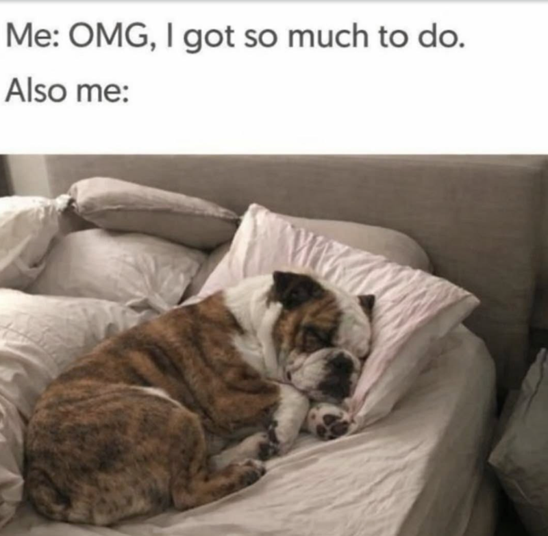 Me: OMG, I got so much to do. Also me: