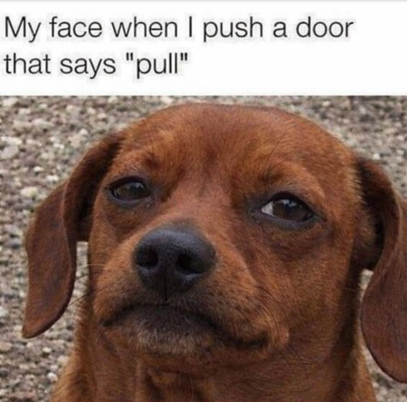 My face when I push a door that says "pull"