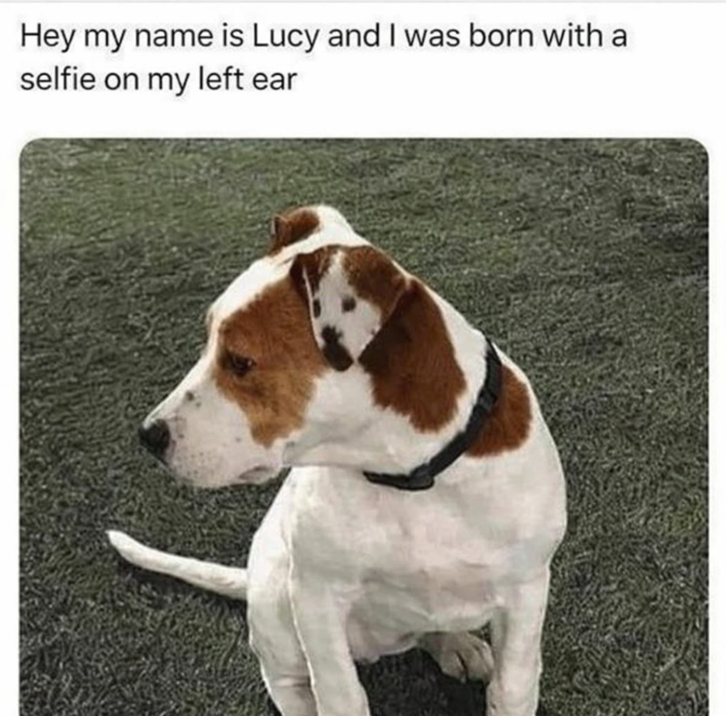 Hey my name is Lucy and I was born with a selfie on my left ear