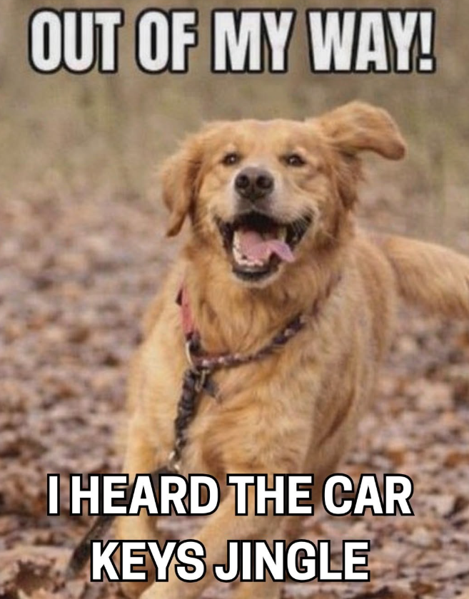 OUT OF MY WAY! I HEARD THE CAR KEYS JINGLE