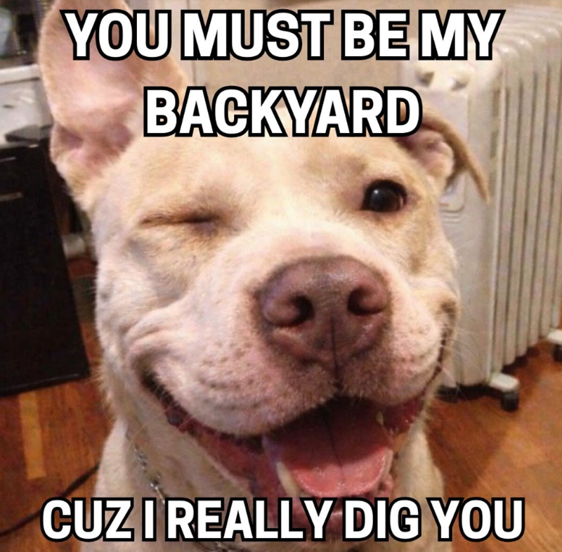 YOU MUST BE MY BACKYARD CUZ I REALLY DIG YOU