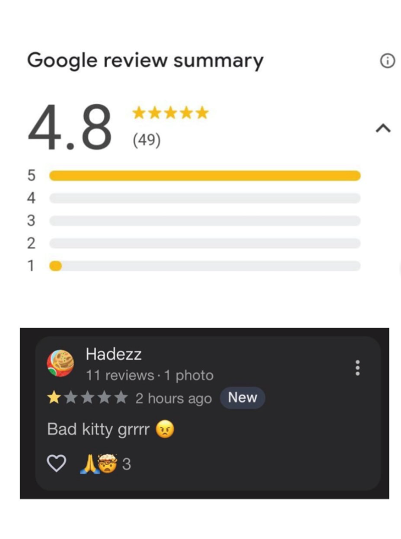 Google review summary 4.8 (49) 5432 1 Hadezz 11 reviews 1 photo 2 hours ago New Bad kitty grrrr 133
