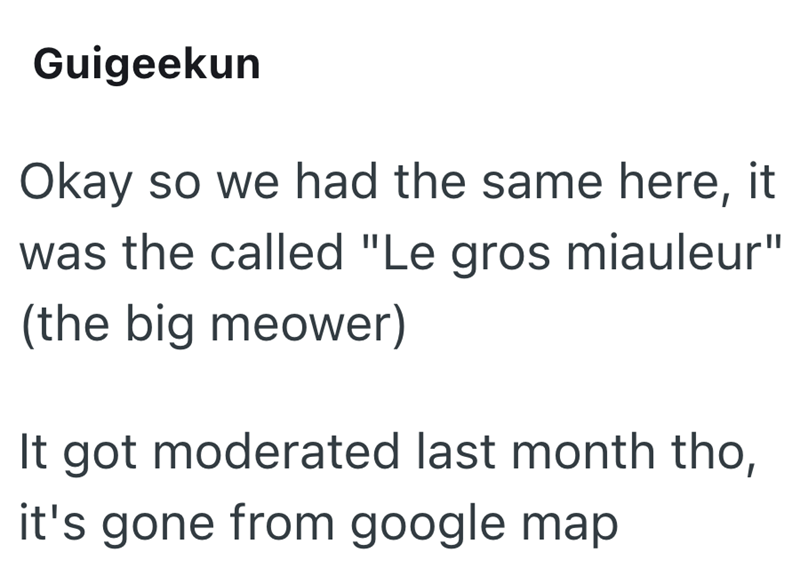 Guigeekun Okay so we had the same here, it was the called "Le gros miauleur" (the big meower) It got moderated last month tho, it's gone from google map