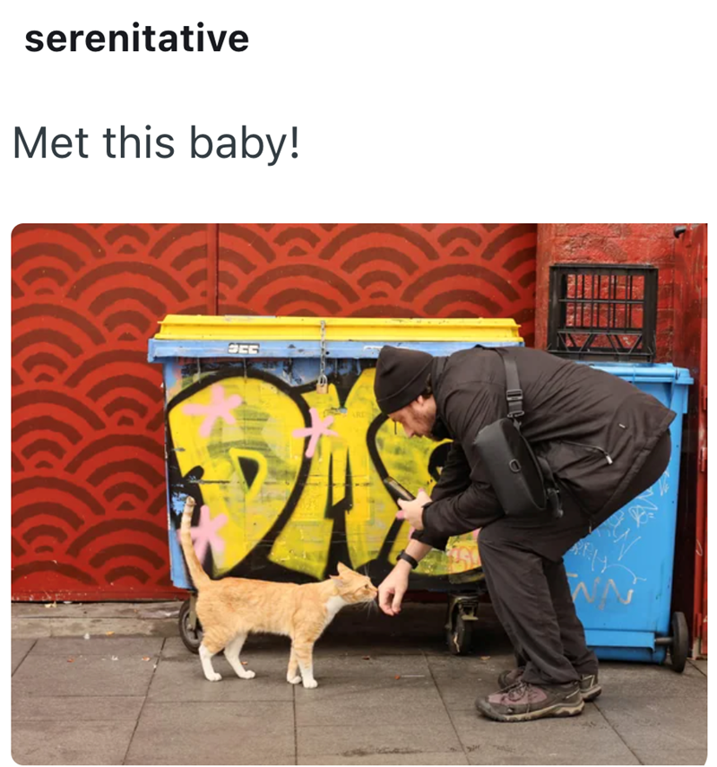 serenitative Met this baby! SEG