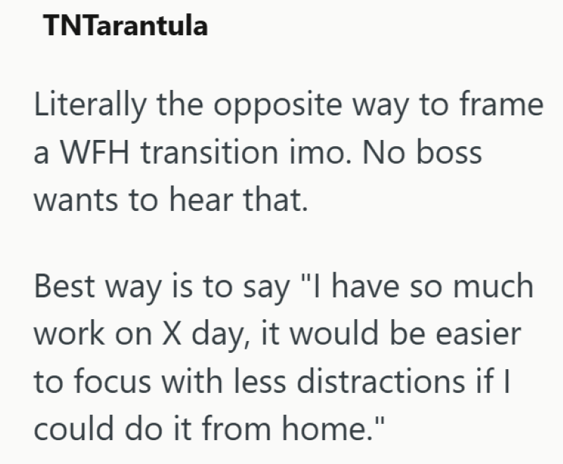 TNTarantula Literally the opposite way to frame a WFH transition imo. No boss wants to hear that. Best way is to say "I have so much work on X day, it would be easier to focus with less distractions if I could do it from home."