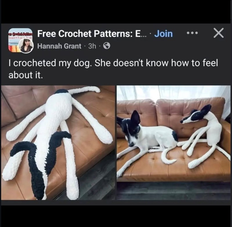 we Grandal Faller Free Crochet Patterns: E... . Join Export Tips&Trick Hannah Grant ⚫ 3h ✓ I crocheted my dog. She doesn't know how to feel about it.