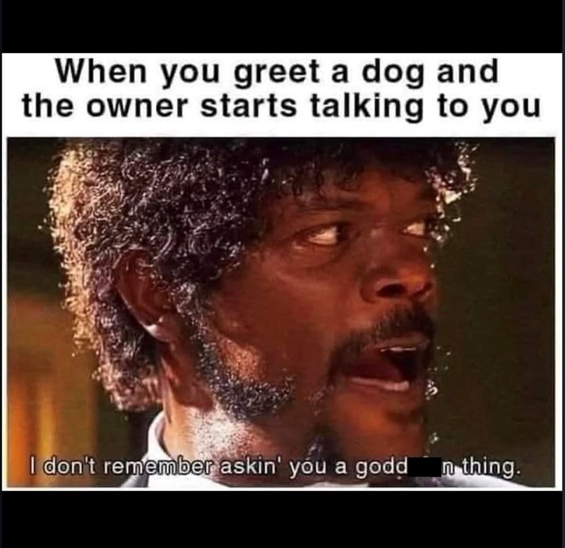When you greet a dog and the owner starts talking to you I don't remember askin' you a godd n thing.