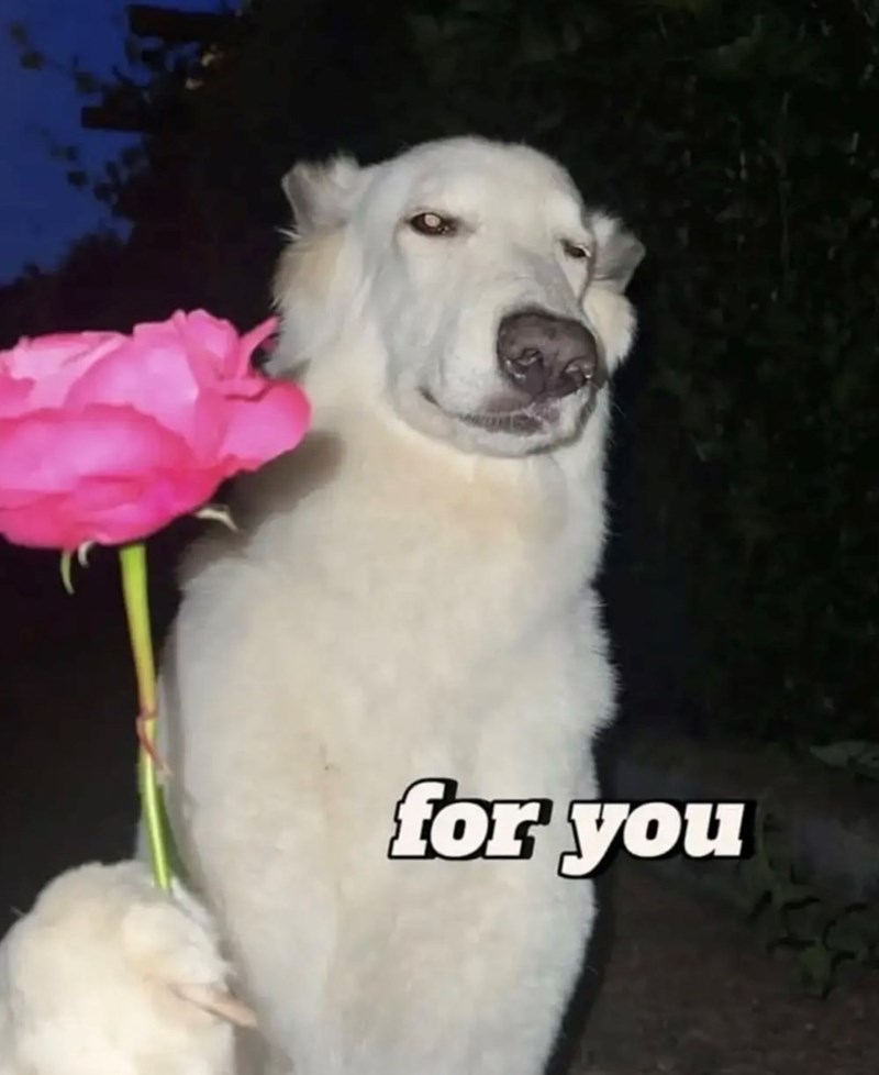 for you