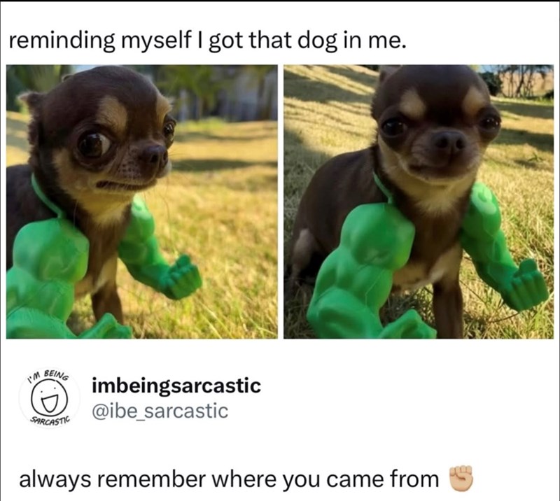 reminding myself I got that dog in me. I'M BEING imbeingsarcastic @ibe_sarcastic SARCASTIC always remember where you came from