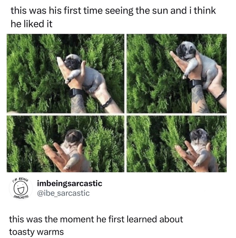this was his first time seeing the sun and i think he liked it I'M BEING SARCASTIC imbeingsarcastic @ibe_sarcastic this was the moment he first learned about toasty warms