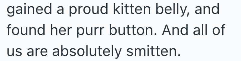 gained a proud kitten belly, and found her purr button. And all of us are absolutely smitten.