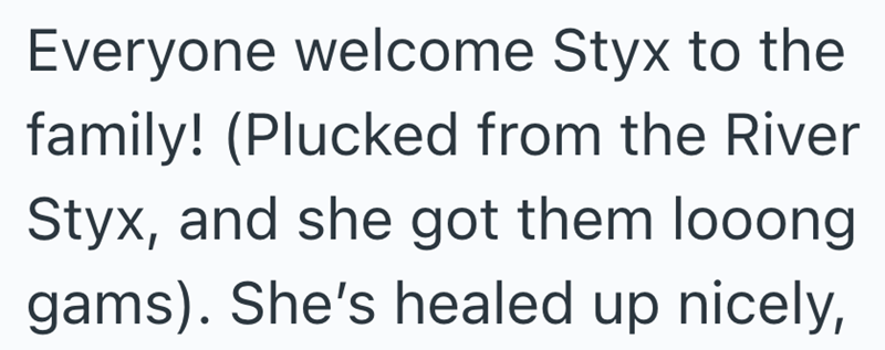Everyone welcome Styx to the family! (Plucked from the River Styx, and she got them looong gams). She's healed up nicely,