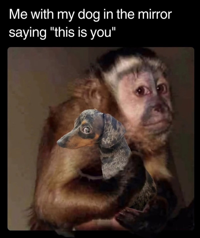 Me with my dog in the mirror saying "this is you"
