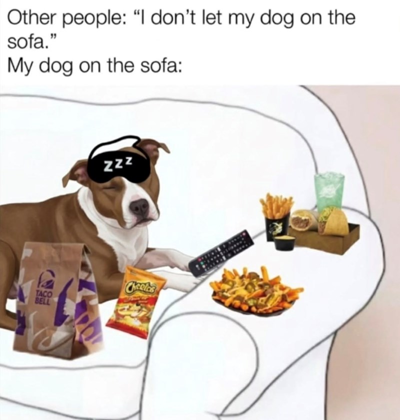 TACO BELL 酷~ Other people: "I don't let my dog on the sofa." My dog on the sofa: ZZZ Chceles