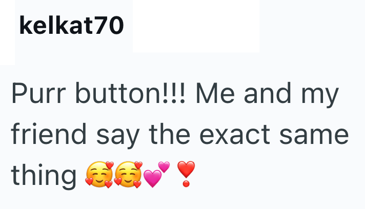 kelkat70 Purr button!!! Me and my friend say the exact same thing