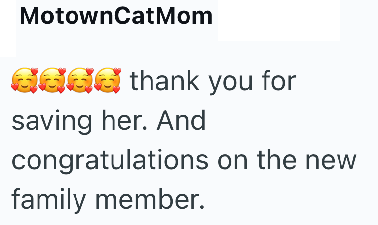 MotownCatMom 6666 thank you for saving her. And congratulations on the new family member.