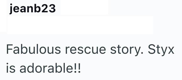 jeanb23 Fabulous rescue story. Styx is adorable!!