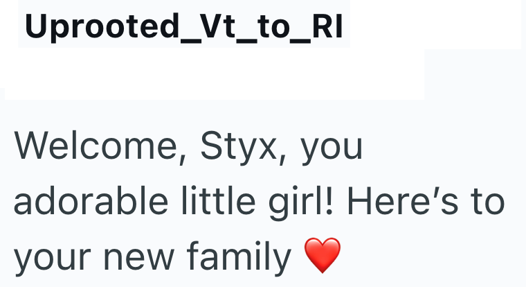 Uprooted_Vt_to_RI Welcome, Styx, you adorable little girl! Here's to your new family