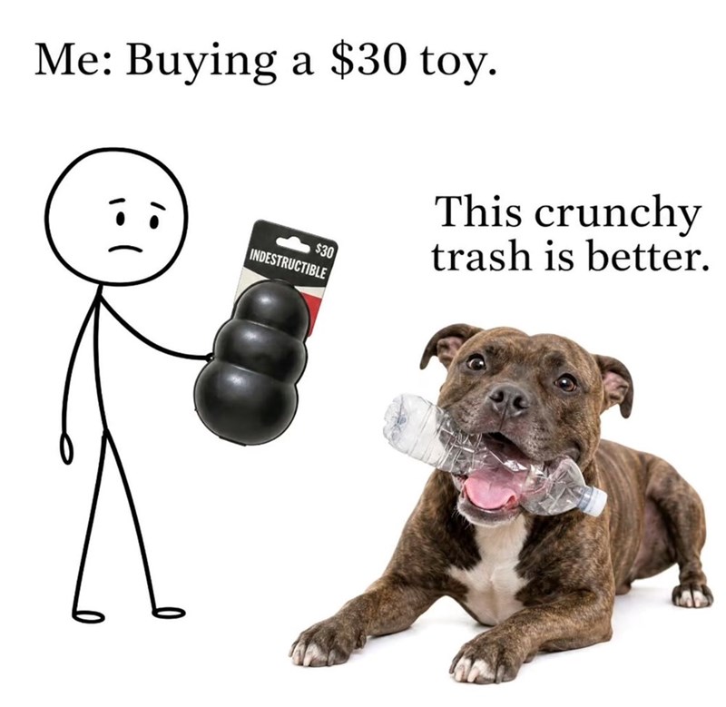 Me: Buying a $30 toy. This crunchy $30 trash is better. INDESTRUCTIBLE