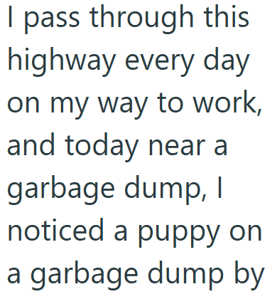 I pass through this highway every day on my way to work, and today near a garbage dump, I noticed a puppy on a garbage dump by