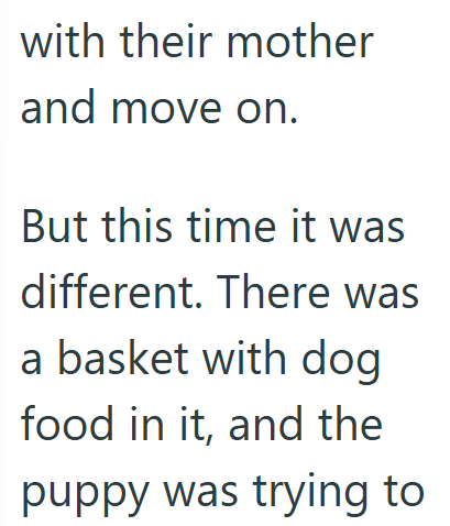with their mother and move on. But this time it was different. There was a basket with dog food in it, and the puppy was trying to