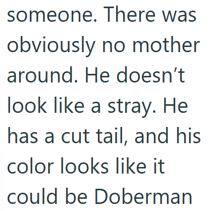 someone. There was obviously no mother around. He doesn't look like a stray. He has a cut tail, and his color looks like it could be Doberman