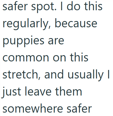 safer spot. I do this regularly, because puppies are common on this stretch, and usually I just leave them somewhere safer