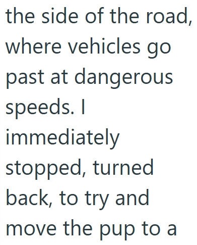 the side of the road, where vehicles go past at dangerous speeds. I immediately stopped, turned back, to try and move the pup to a
