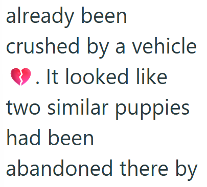 already been crushed by a vehicle ❤. It looked like two similar puppies had been abandoned there by