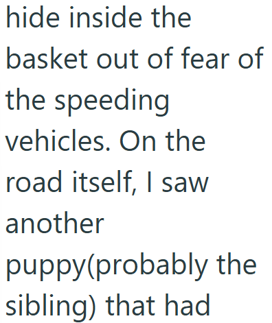 hide inside the basket out of fear of the speeding vehicles. On the road itself, I saw another puppy(probably the sibling) that had