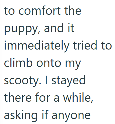 to comfort the puppy, and it immediately tried to climb onto my scooty. I stayed there for a while, asking if anyone