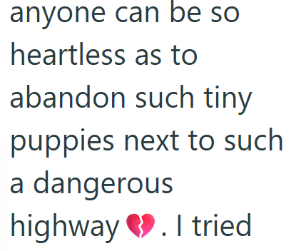 anyone can be so heartless as to abandon such tiny puppies next to such a dangerous highway. I tried