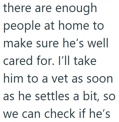 there are enough people at home to make sure he's well cared for. I'll take him to a vet as soon as he settles a bit, so we can check if he's