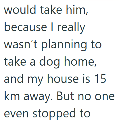 would take him, because I really wasn't planning to take a dog home, and my house is 15 km away. But no one even stopped to
