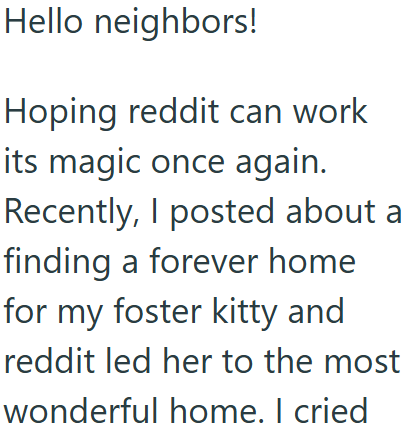 Hello neighbors! Hoping reddit can work its magic once again. Recently, I posted about a finding a forever home for my foster kitty and reddit led her to the most wonderful home. I cried