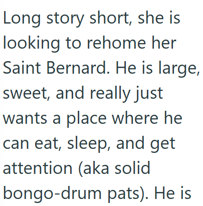 Long story short, she is looking to rehome her Saint Bernard. He is large, sweet, and really just wants a place where he can eat, sleep, and get attention (aka solid bongo-drum pats). He is